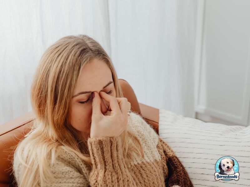 A woman suffering from allergies pinches the bridge of her nose